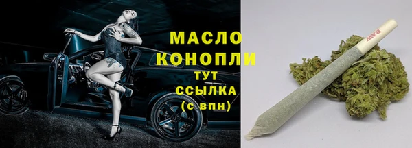 молекула духа Майский