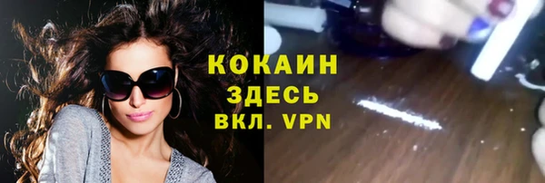 сатива Медногорск